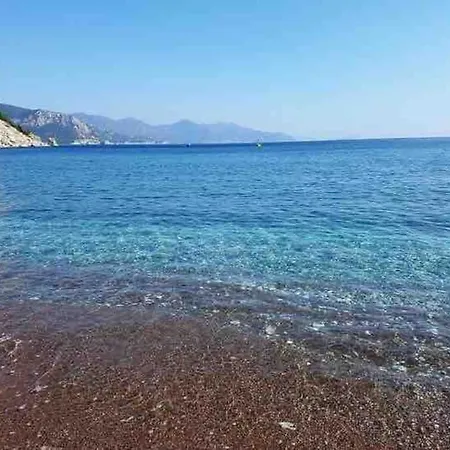Sea Front With Panoramic View C Blok *